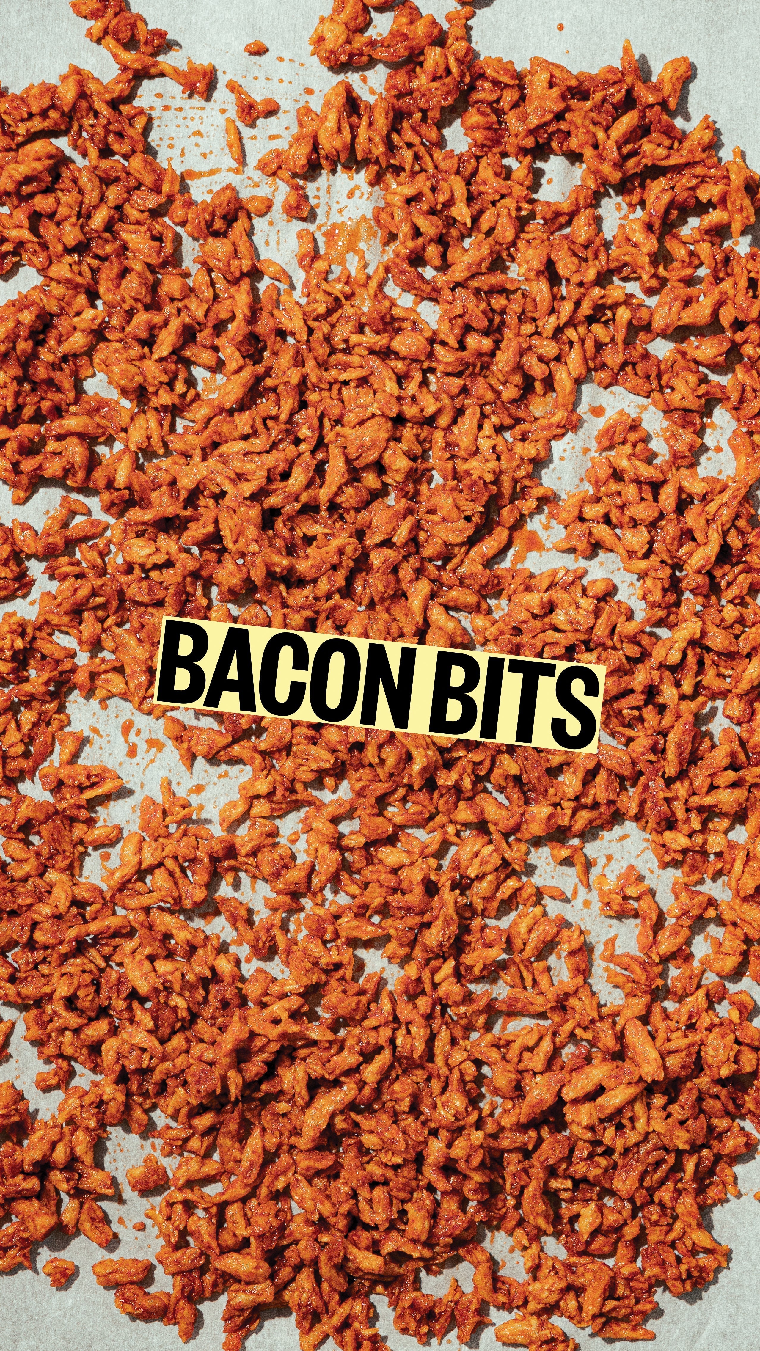 Bacon bits vegan