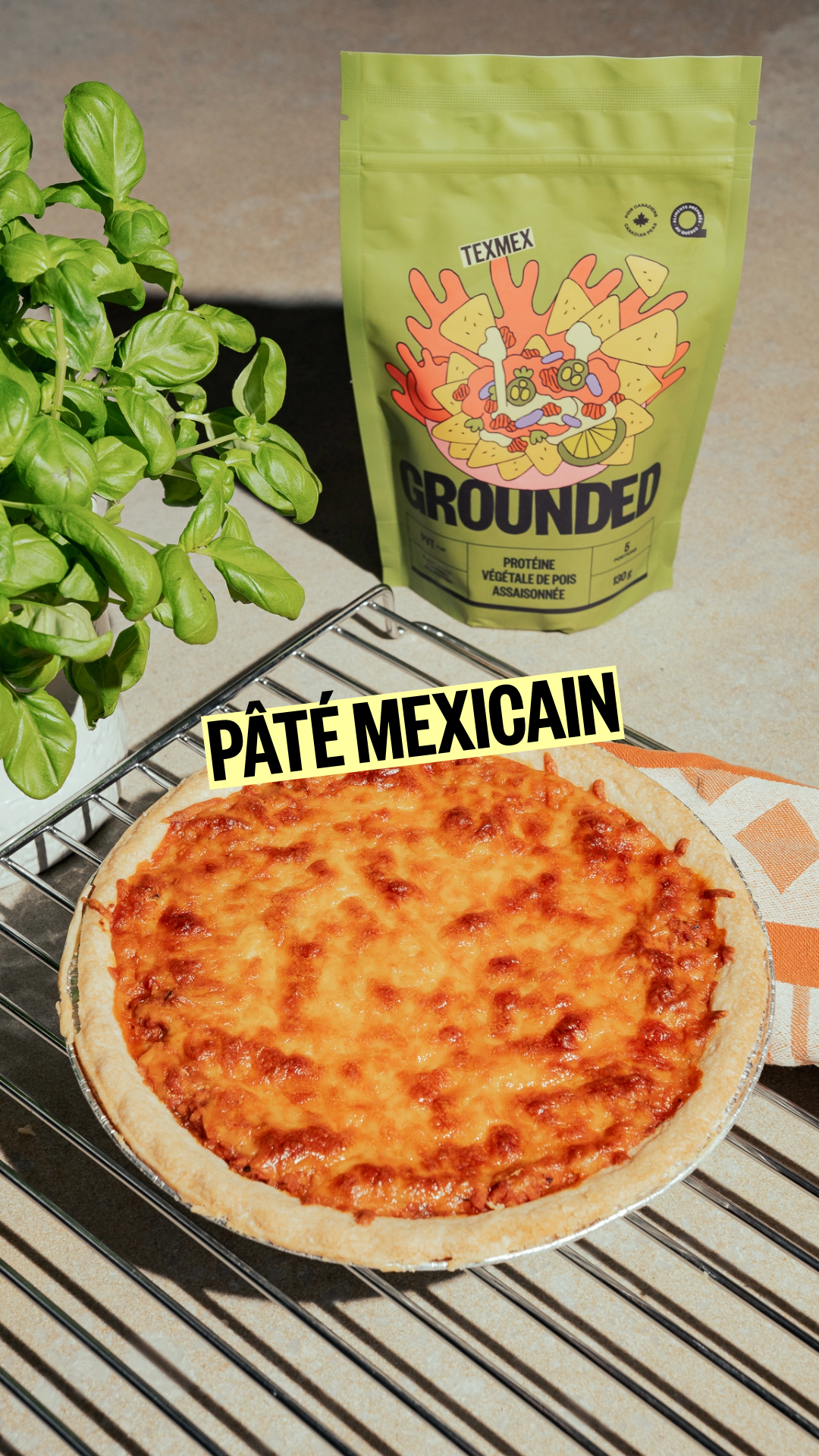 PÂTÉ MEXICAIN À LA PVT TEXMEX